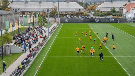 dynamo dresden öffentliches training